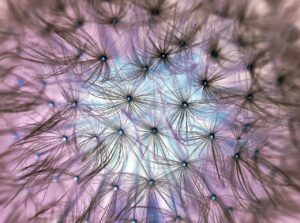 20代が発毛サプリを併用すると逆効果になる理由は？